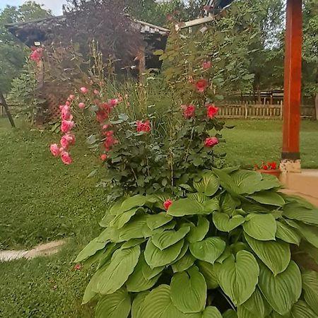 Vila Kuca Za Odmor Kalina Mokra Gora Exteriér fotografie