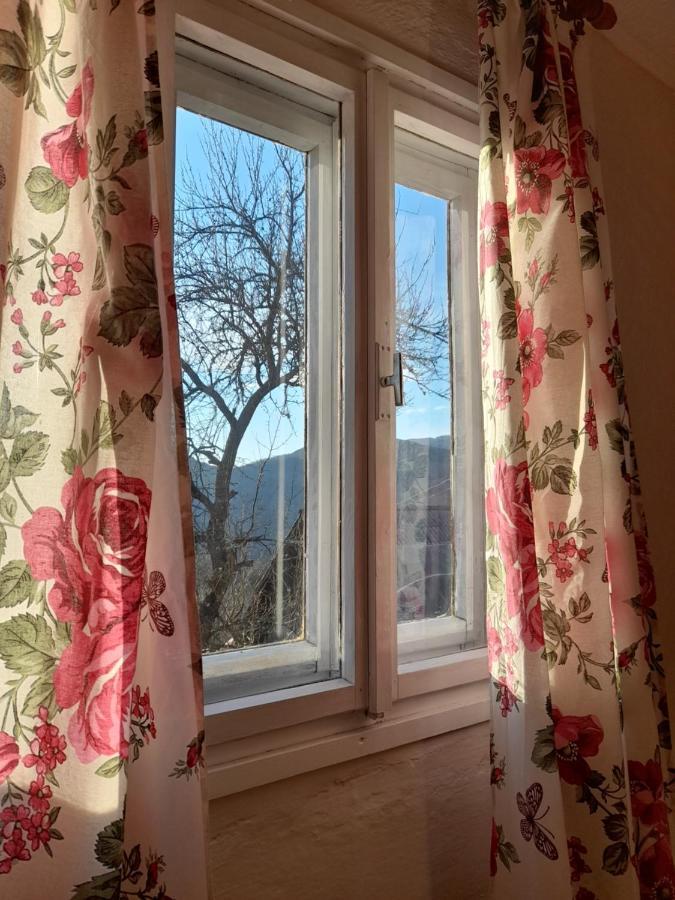 Vila Kuca Za Odmor Kalina Mokra Gora Exteriér fotografie
