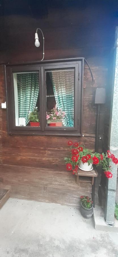 Vila Kuca Za Odmor Kalina Mokra Gora Exteriér fotografie