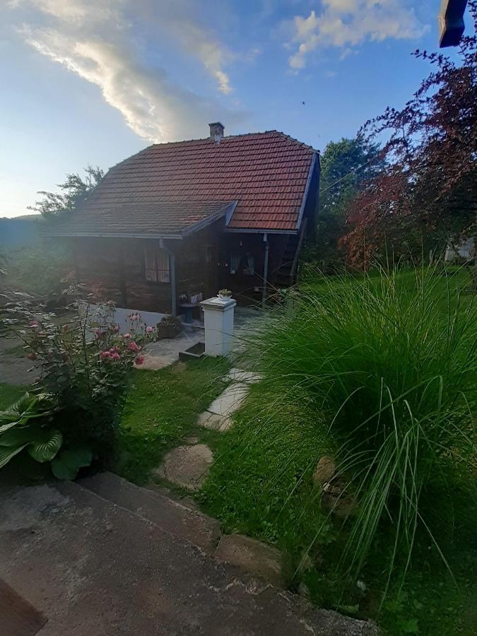 Vila Kuca Za Odmor Kalina Mokra Gora Exteriér fotografie