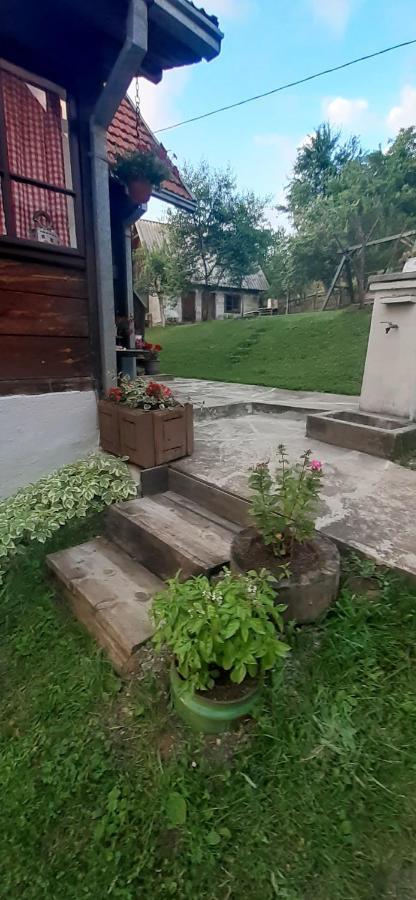 Vila Kuca Za Odmor Kalina Mokra Gora Exteriér fotografie