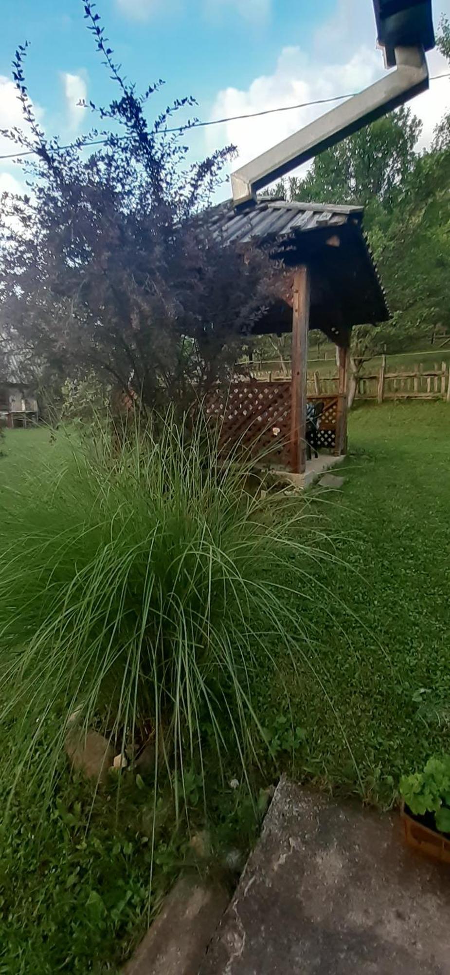 Vila Kuca Za Odmor Kalina Mokra Gora Exteriér fotografie