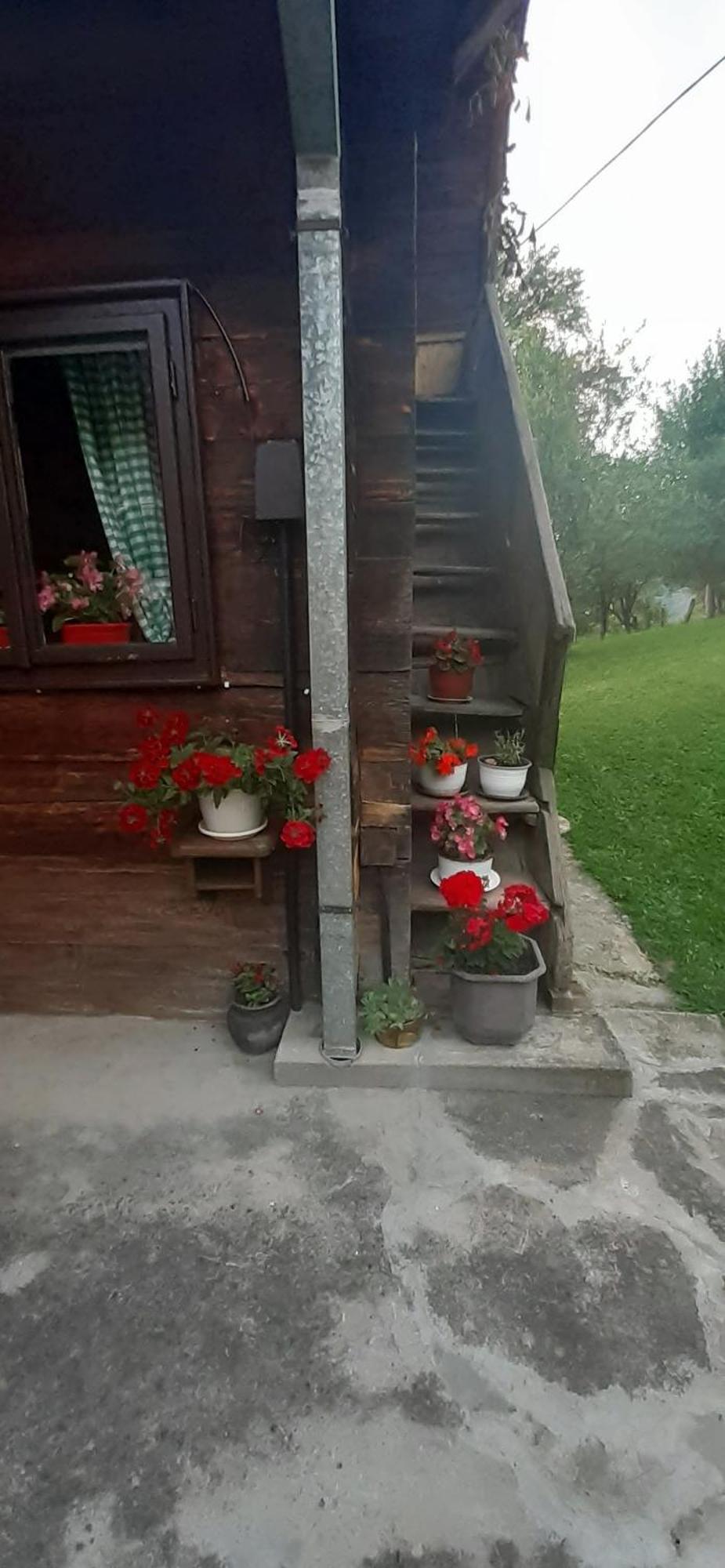 Vila Kuca Za Odmor Kalina Mokra Gora Exteriér fotografie