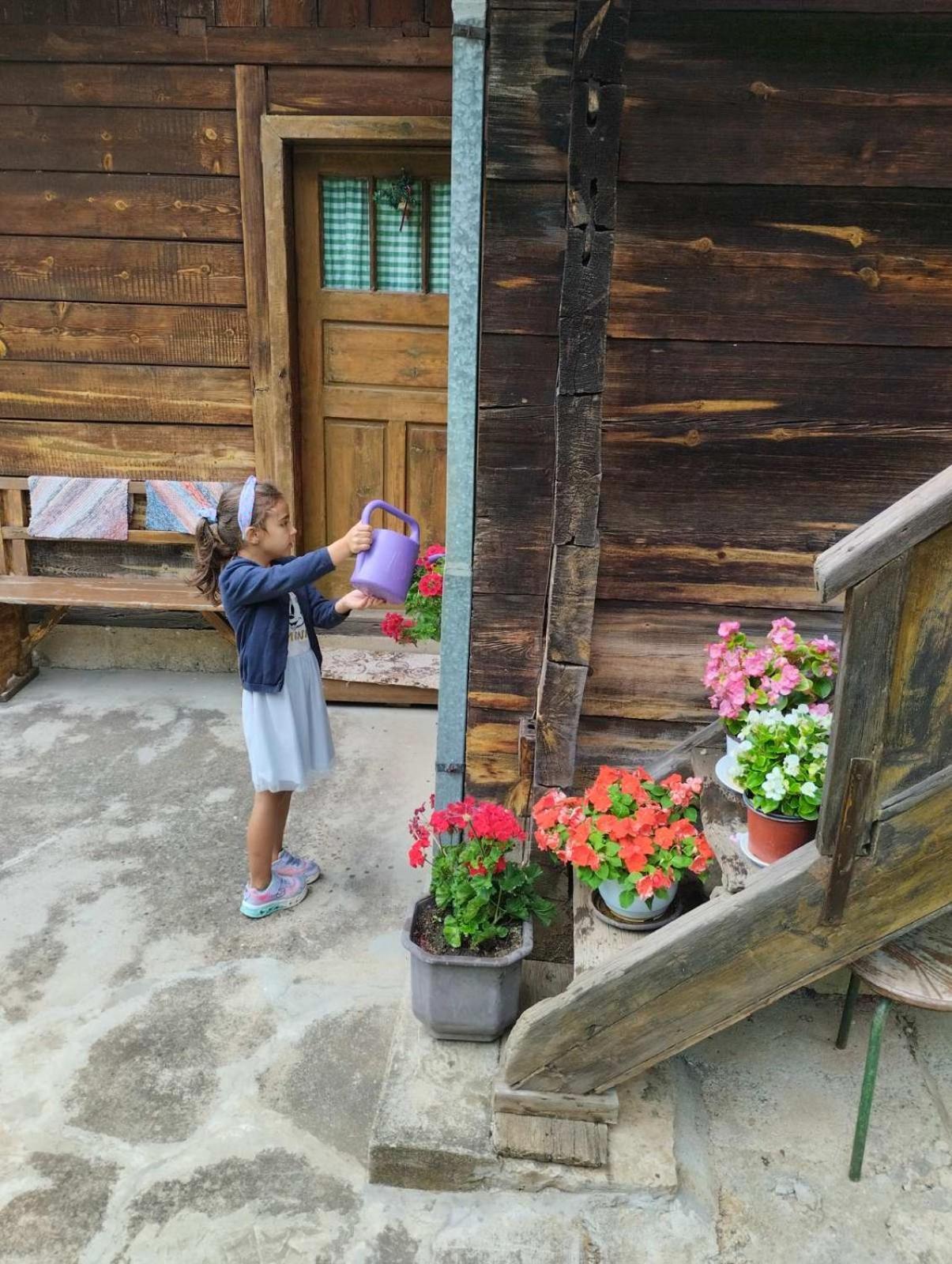 Vila Kuca Za Odmor Kalina Mokra Gora Pokoj fotografie